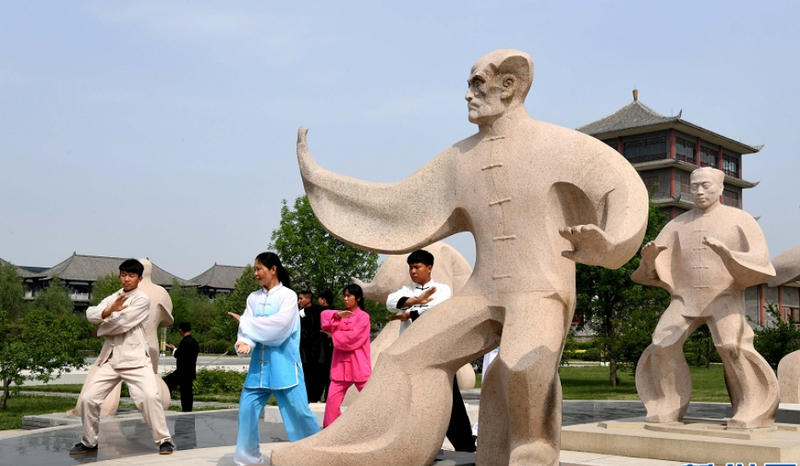 Henan University of Science and Technology and VGTU held a video conference